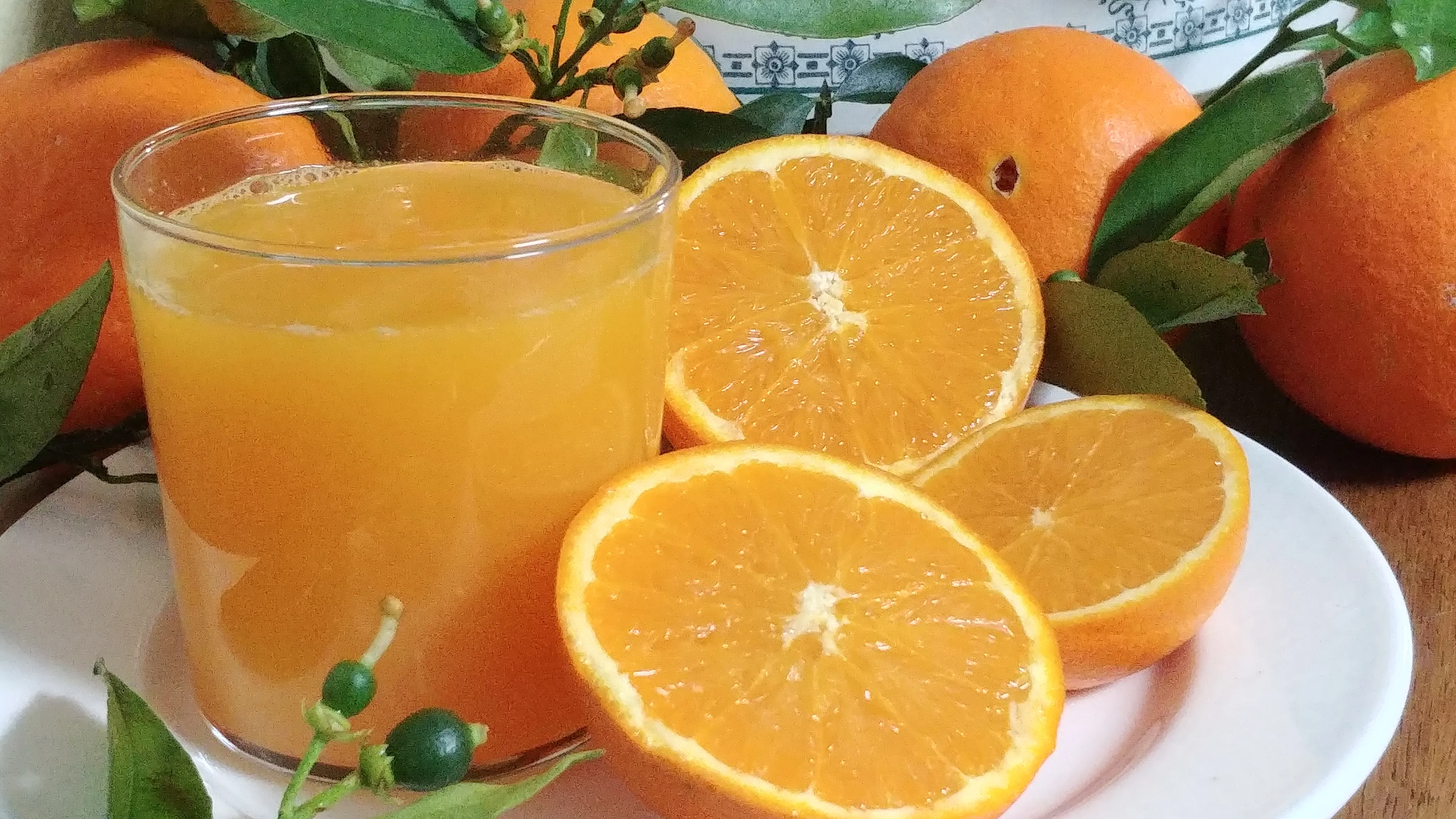 Naranjas en el árbol